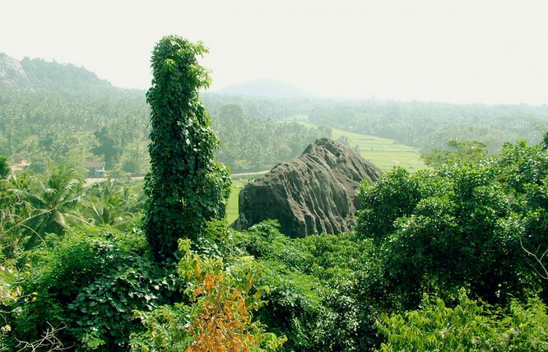 projekte-lotuslifestiftung-umweltschutz-biodiversity-srilanka1