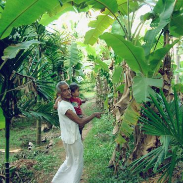 projekte-lotuslifestiftung-umweltschutz-biodiversity-srilanka13