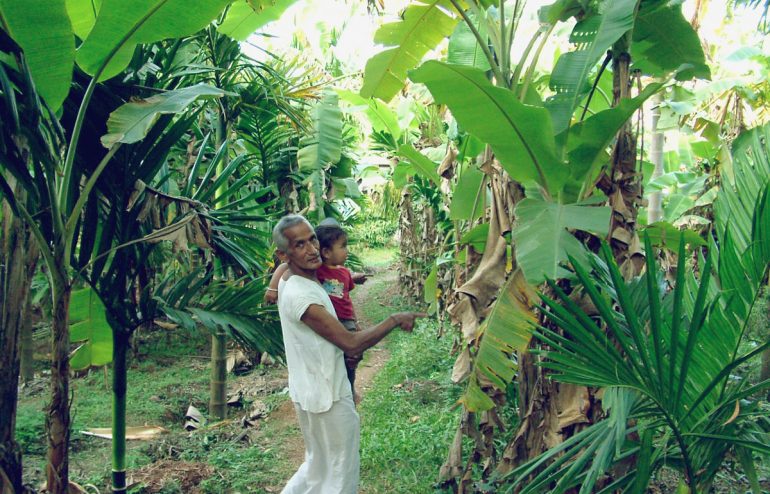 projekte-lotuslifestiftung-umweltschutz-biodiversity-srilanka13