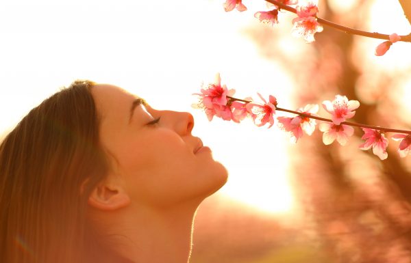 Profile of a woman smelling flowers in spring at sunset