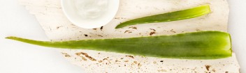 Aloe Vera Produkte 